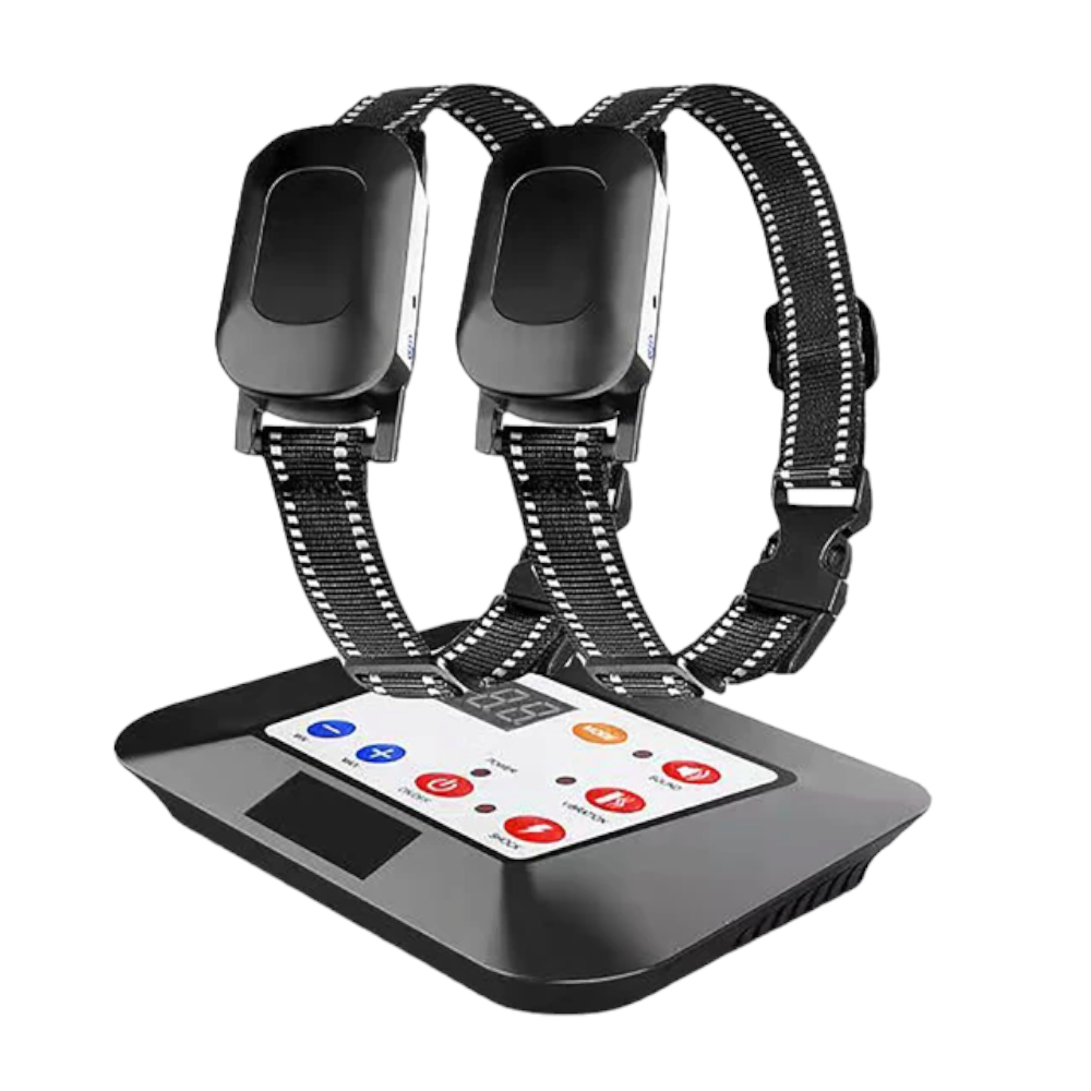 Gard fara fir pentru caini incapatanati, sistem electric de retinere a limitelor pentru caini, guler cu soc si bip, rezistenta la apa, raza reglabila, pentru 2 caini