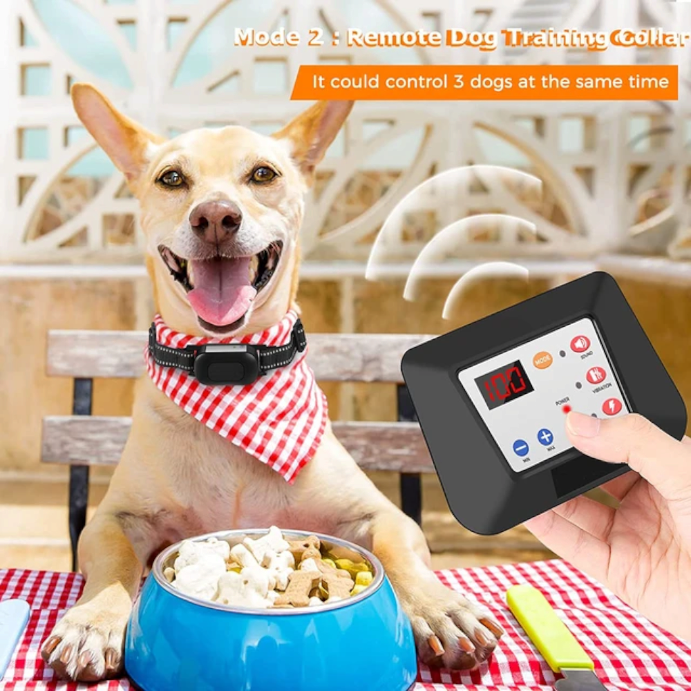 Gard fara fir pentru caini incapatanati, sistem electric de retinere a limitelor pentru caini, guler cu soc si bip, rezistenta la apa, raza reglabila, pentru un caine - imagine 5