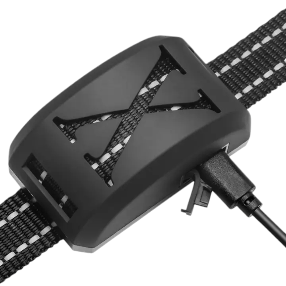 Gard electric fara fir pentru caini incapatanati, sistem de retinere a limitelor animalelor de companie, zgarda cu soc reincarcabil, IP67, raza reglabila, pentru 2 caini